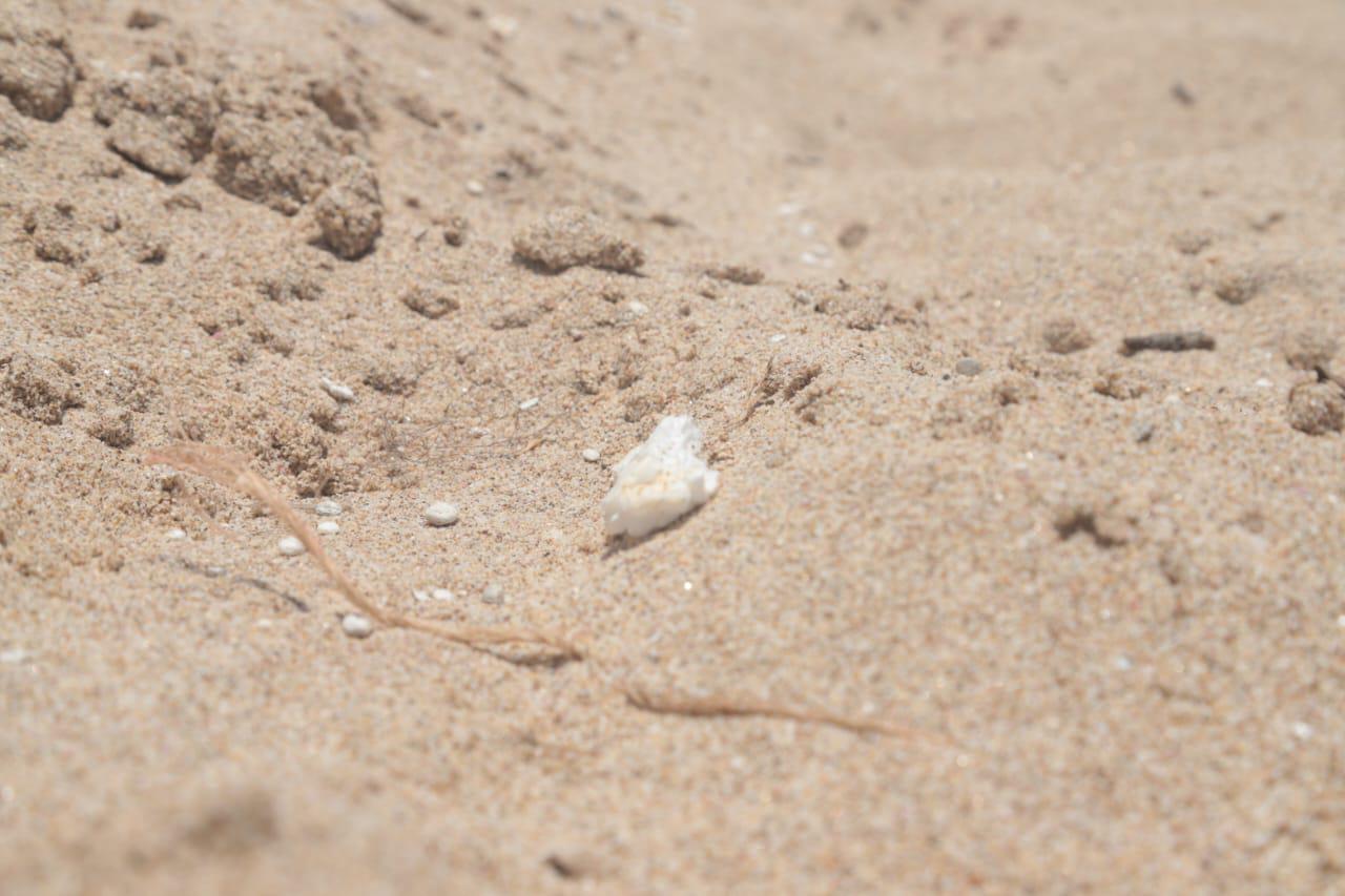 $!Alertan por contaminación con poliestireno en playas de Mazatlán