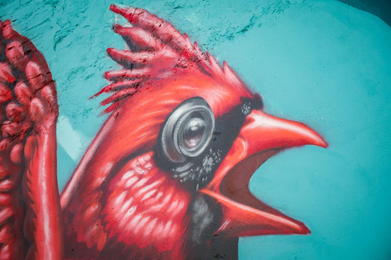 $!El ojo del ave, en forma de lente, simboliza el trabajo fotoperiodístico.