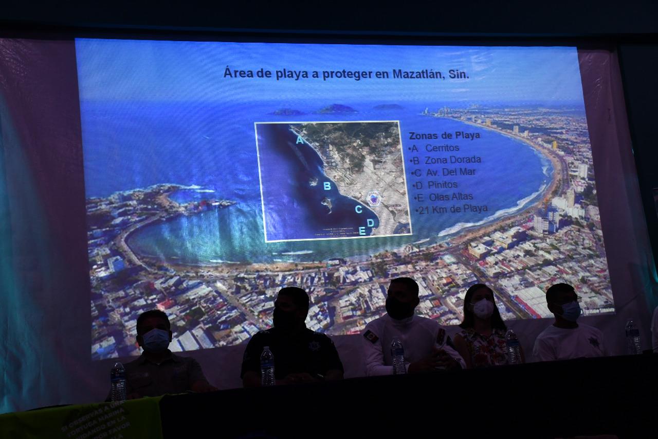$!Acuario Mazatlán arranca programa de protección a la tortuga marina