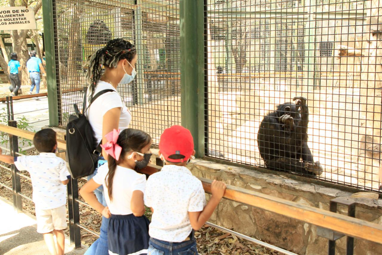 $!Zoológico de Culiacán registra afluencia de más del 50% de su capacidad