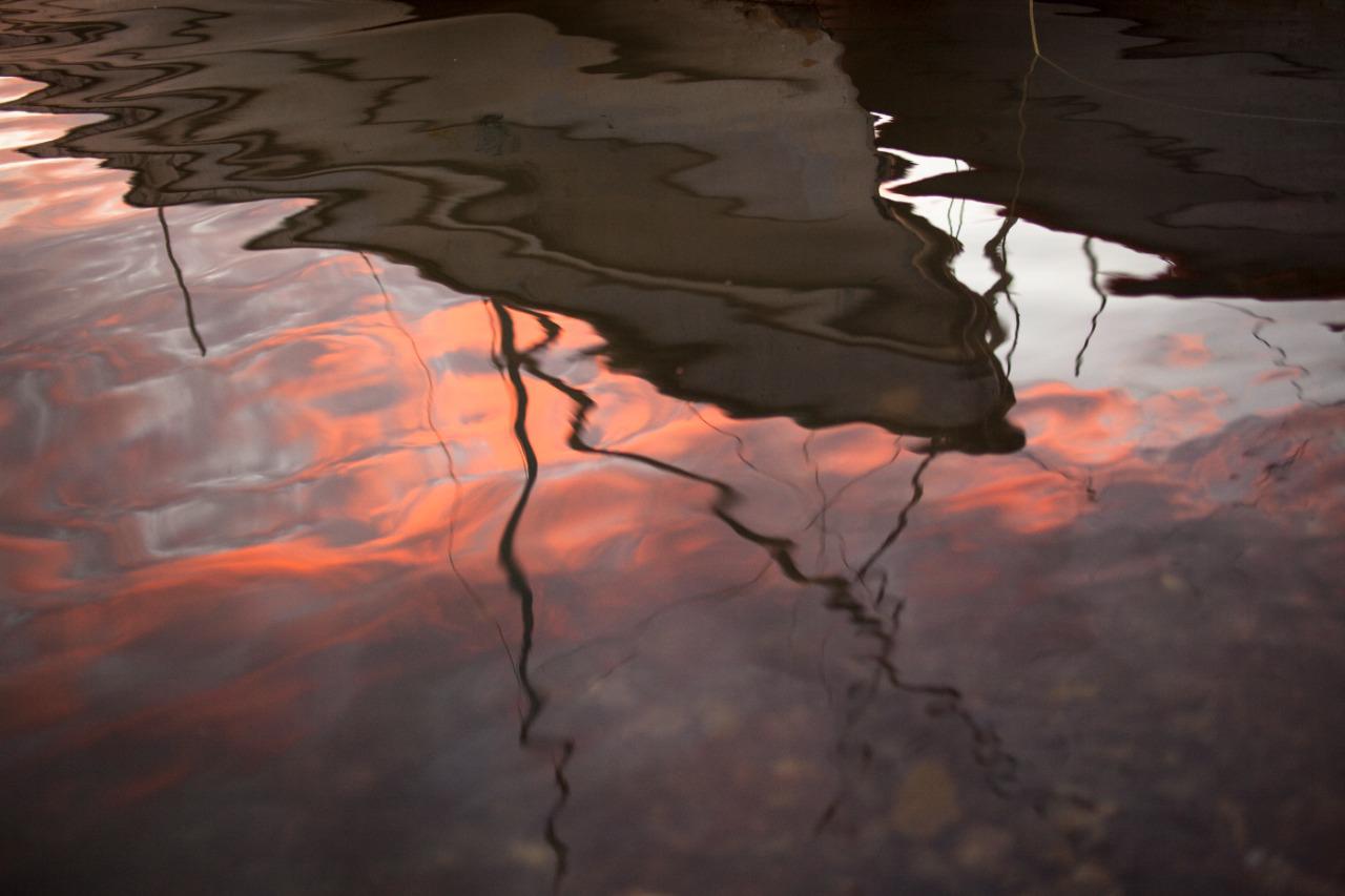 $!Daños en humedales provocan efectos negativos en la pesca y economía de la bahía de Santa María, señala Sucede