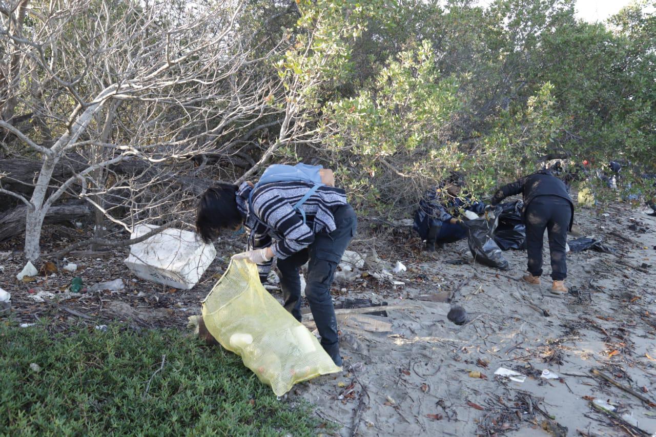 $!Realiza Colectivo MazConCiencia limpieza masiva en el manglar de la Isla de la Piedra