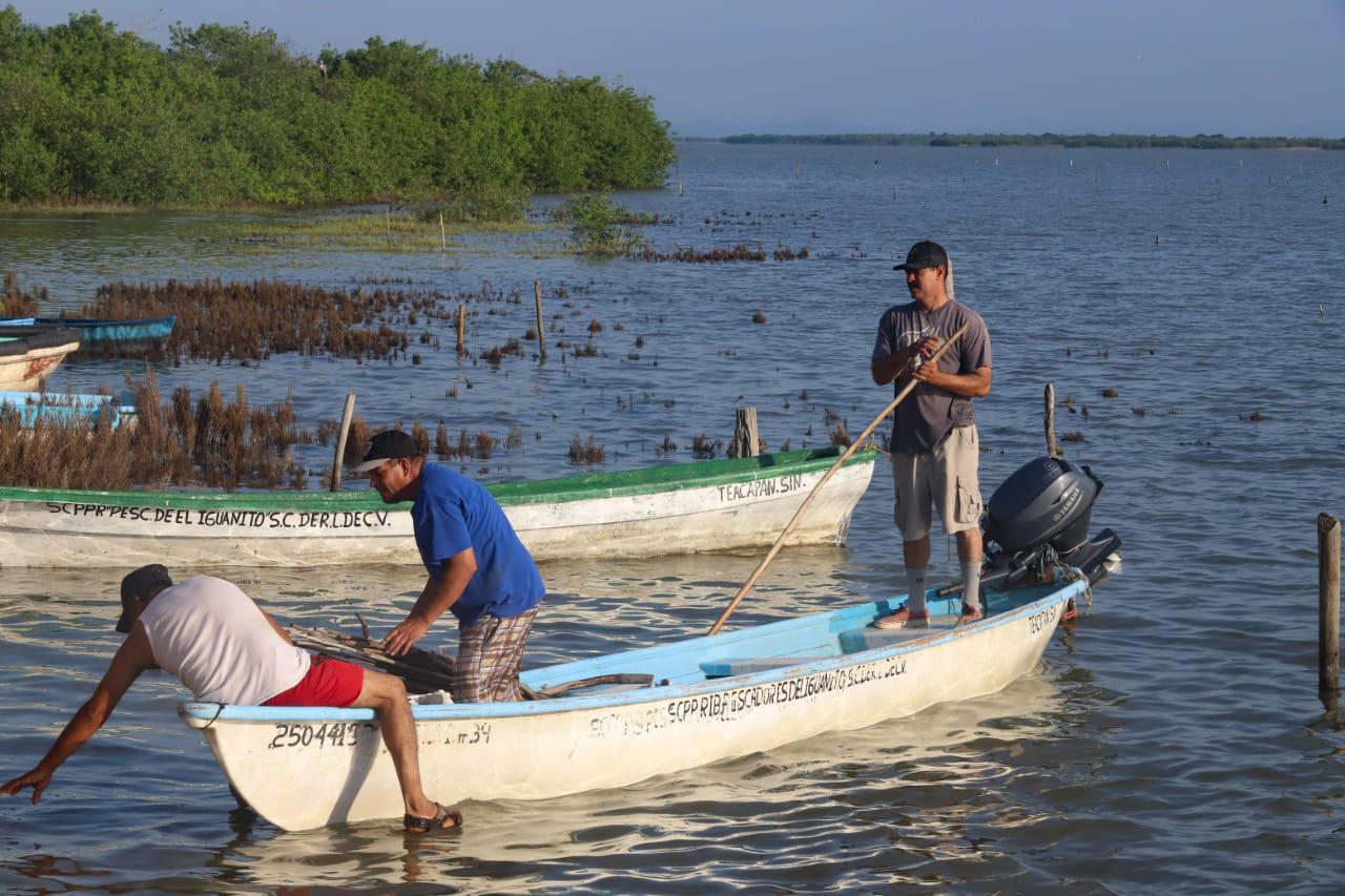 $!Pescadores de Los Pozos y Teodoro Beltrán, listos para la captura de camarón