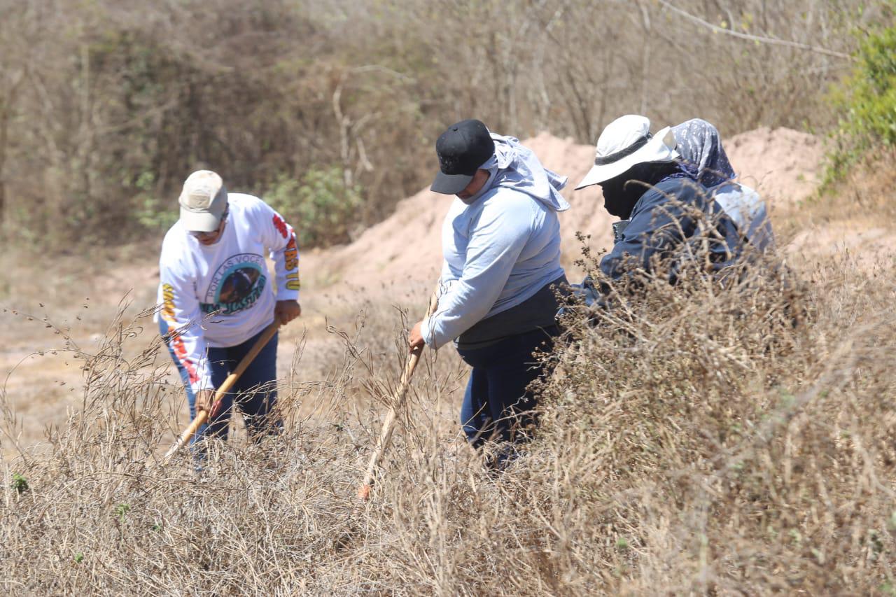 $!Madres salen al campo en Mazatlán a buscar a sus hijos desaparecidos
