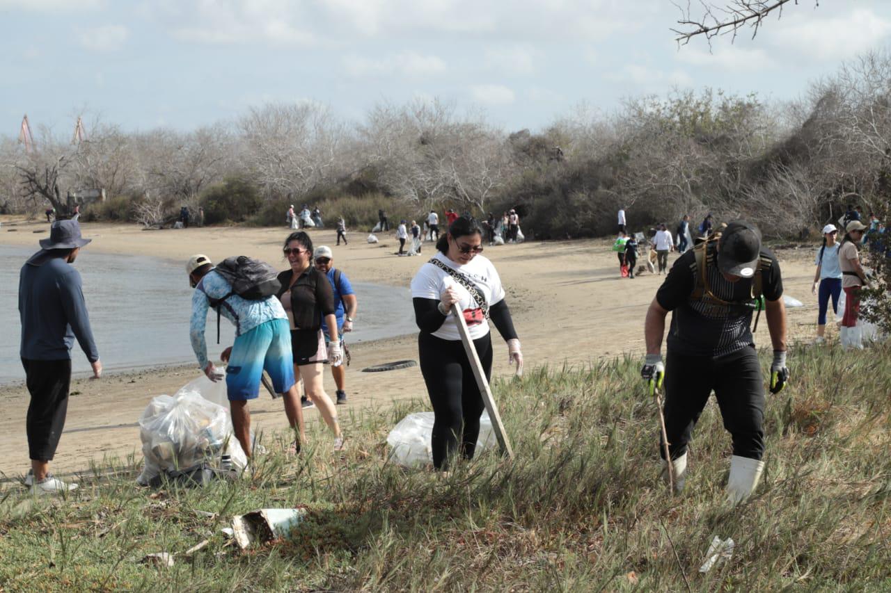 $!Recolectan entre 700 y 800 kilos de desechos plásticos en el manglar de la Isla de la Piedra
