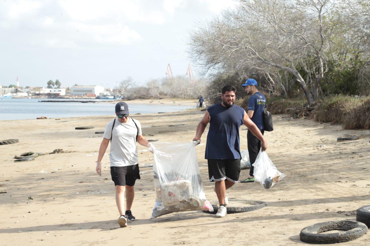 $!Recolectan entre 700 y 800 kilos de desechos plásticos en el manglar de la Isla de la Piedra