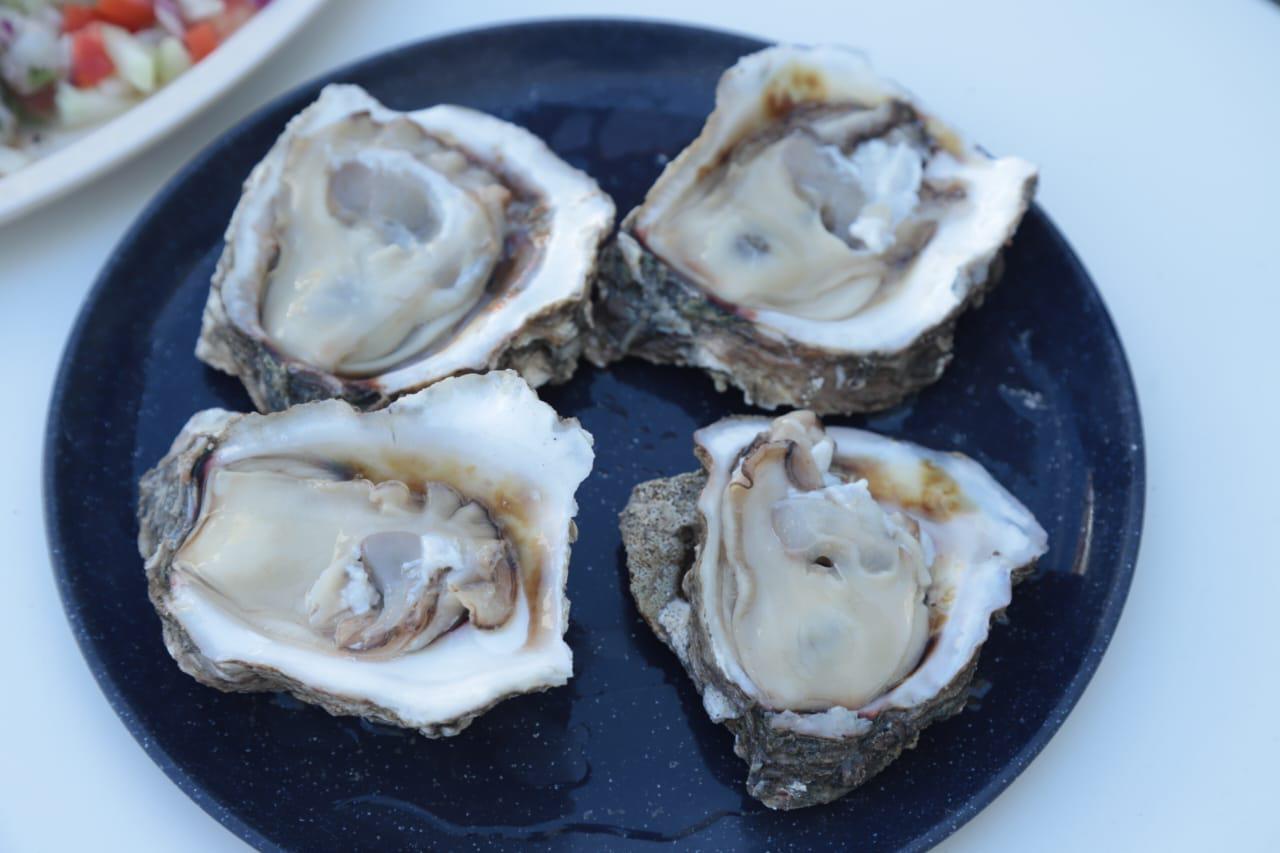 $!Mariscos Rentería ‘Los Liguillas’ celebra 75 años en el Centro Histórico de Mazatlán