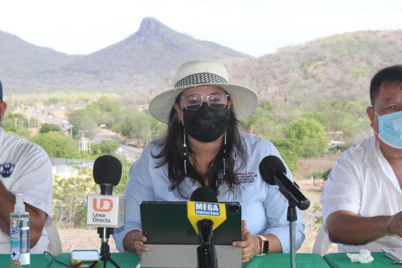 $!Bombardearán Sinaloa con semillas de árboles regionales, para reforestar serranías