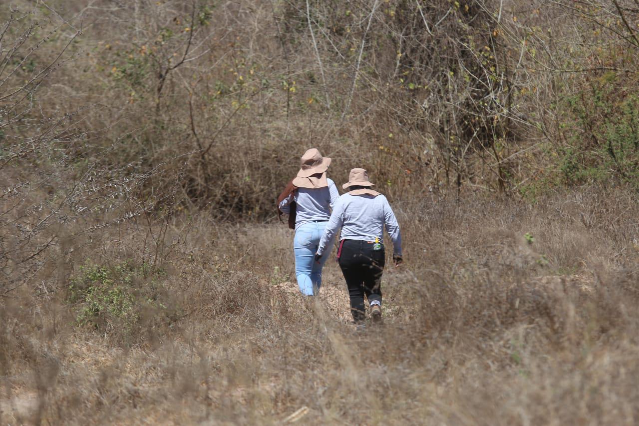 $!Madres salen al campo en Mazatlán a buscar a sus hijos desaparecidos