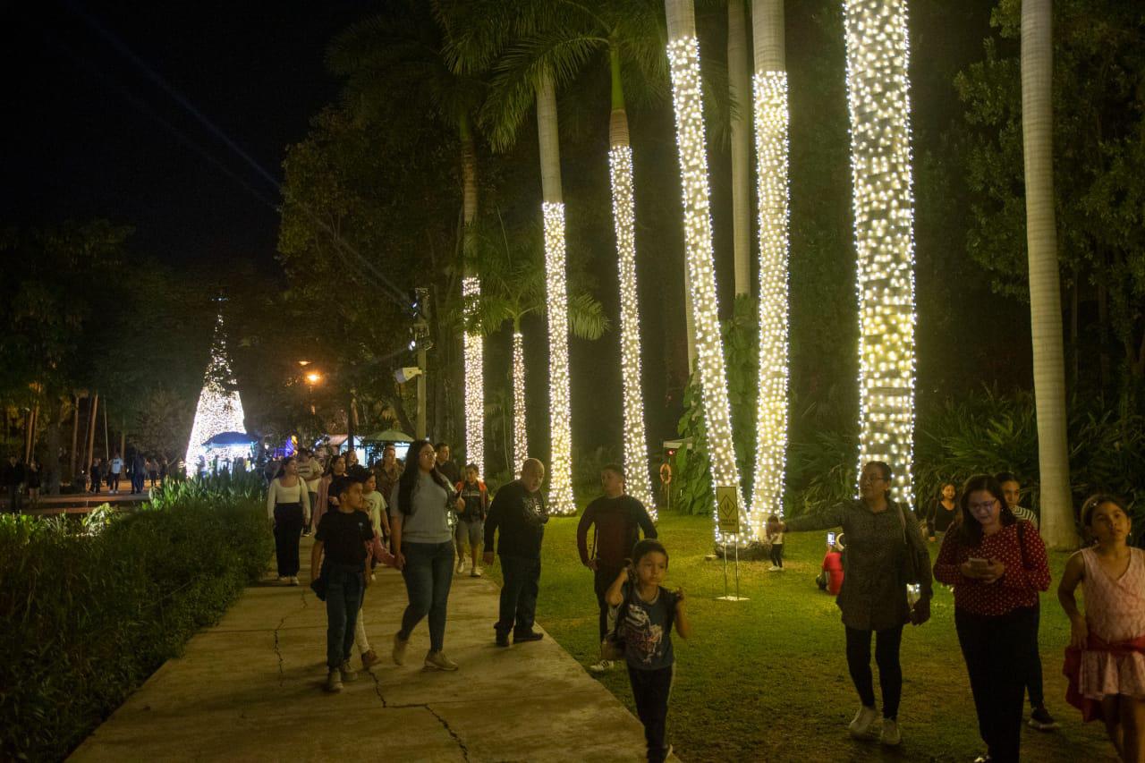 $!Acuden más de 10 mil personas a Un Jardín de Luz en el Jardín Botánico en su primera semana de apertura