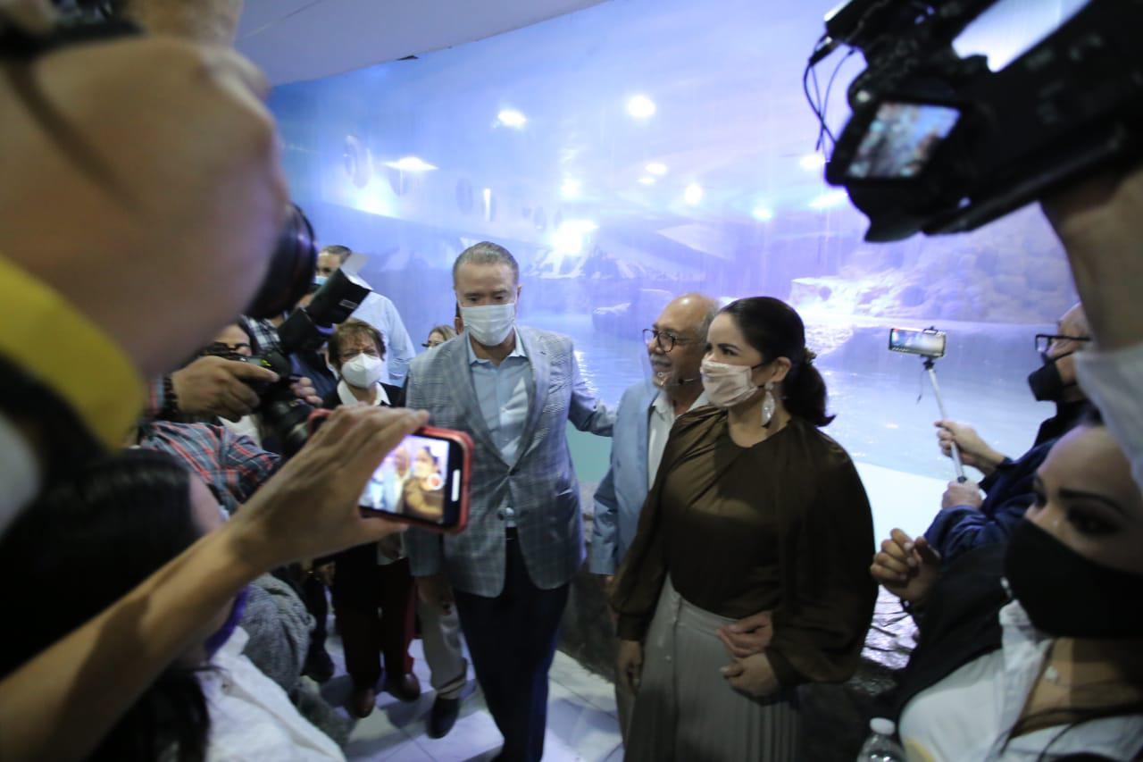 $!Mazatlán ya cuenta con un nuevo atractivo en el Acuario: el pingüinario