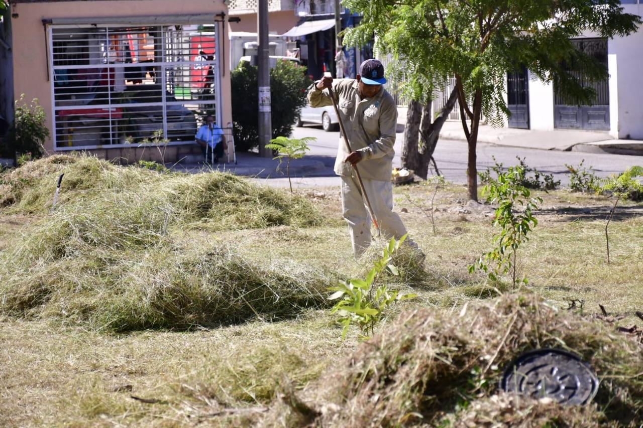 $!Realiza Gobierno de Mazatlán jornada de limpieza de áreas verdes y mejoramiento de fachadas y avenidas