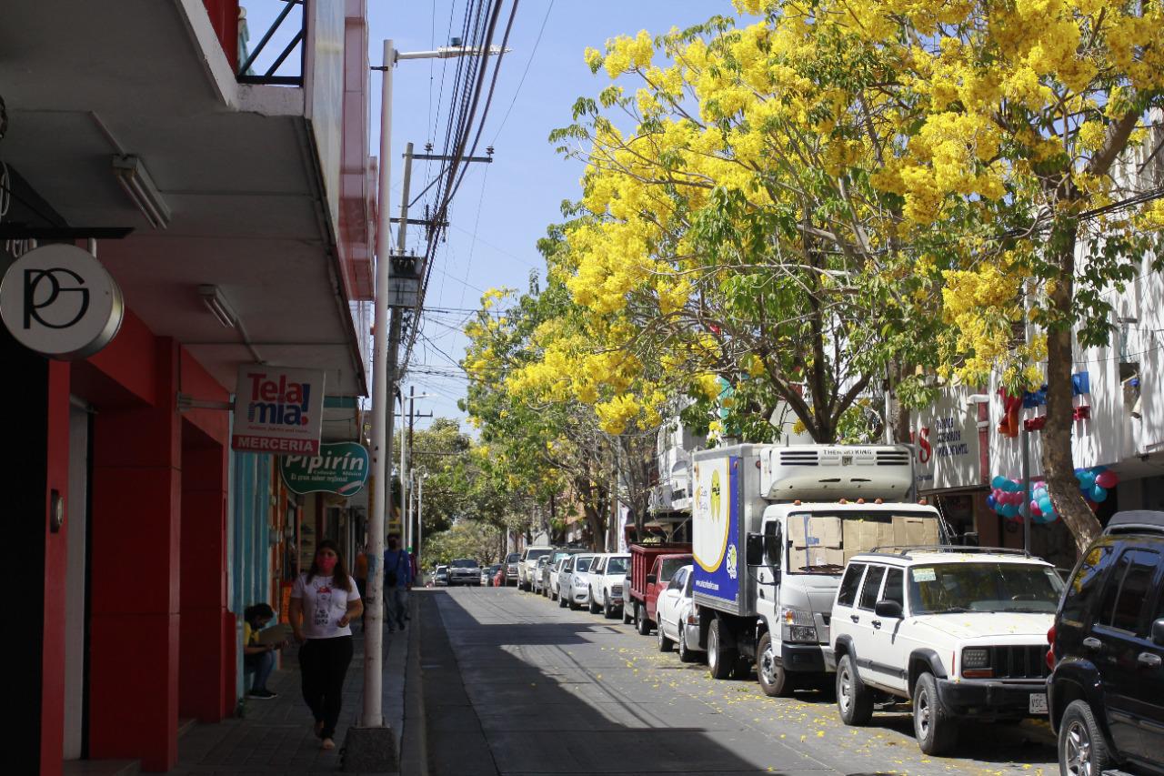 $!Amapas pintan de color el Centro Histórico de Culiacán