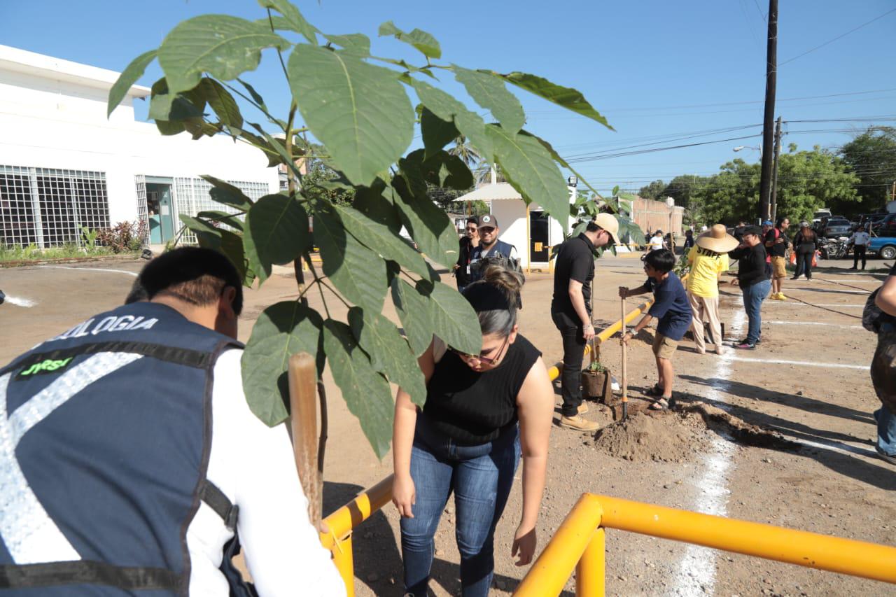 $!Programa ‘Flor Nativa’ planta 30 arbolitos en el Centro de Seguridad Ciudadana de Mazatlán