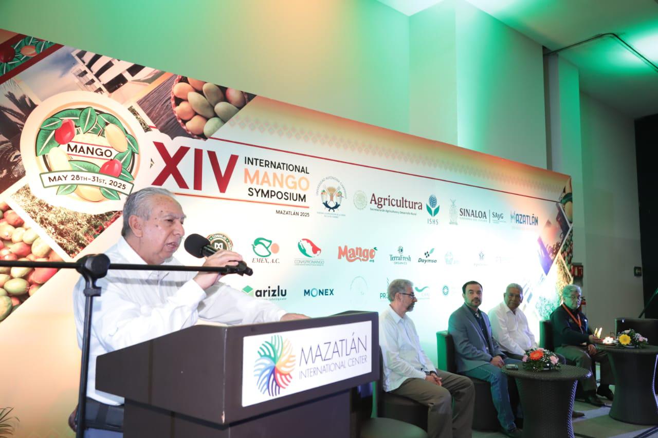 $!De 2 millones de toneladas de mango, el 54% se pierde por falta de alianzas comerciales: Conaspromango