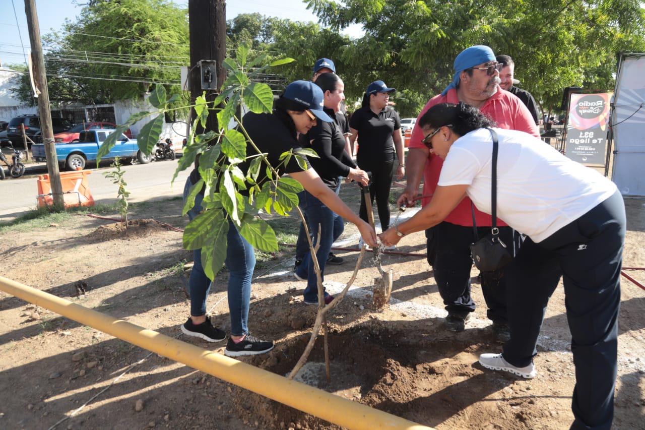 $!Programa ‘Flor Nativa’ planta 30 arbolitos en el Centro de Seguridad Ciudadana de Mazatlán