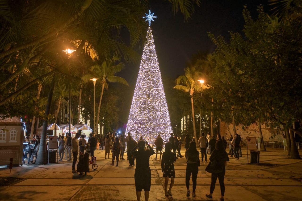 $!Acuden más de 10 mil personas a Un Jardín de Luz en el Jardín Botánico en su primera semana de apertura