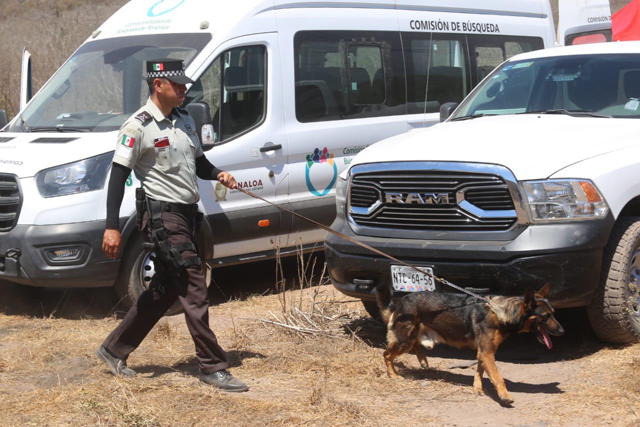 $!Madres salen al campo en Mazatlán a buscar a sus hijos desaparecidos