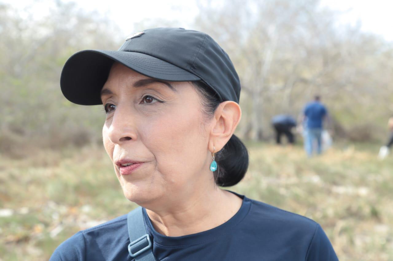 $!Recolectan entre 700 y 800 kilos de desechos plásticos en el manglar de la Isla de la Piedra