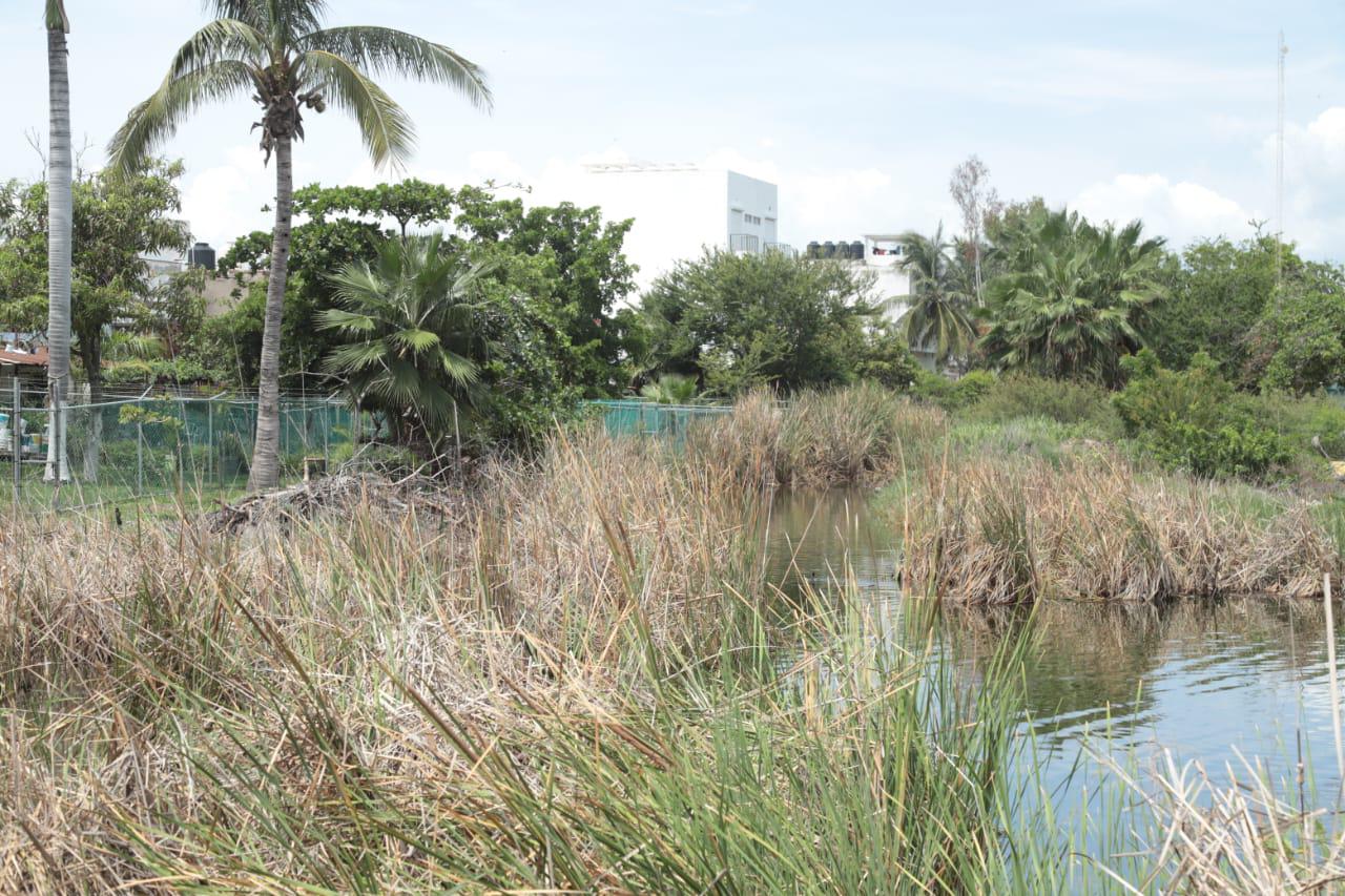 $!Abandono de la Laguna del Camarón pone en riesgo a especies: Guillermo Zerecero