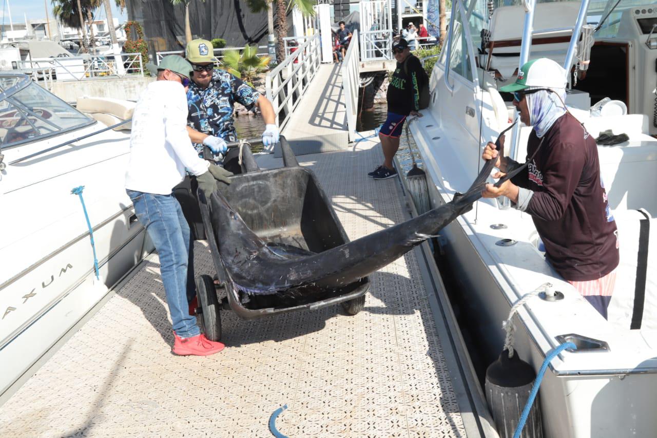 $!Pochonga es el gran ganador del Pacific Marlin Cup