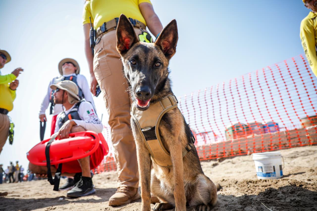 $!Más de 17 mil elementos resguardarán Sinaloa en Semana Santa 2026