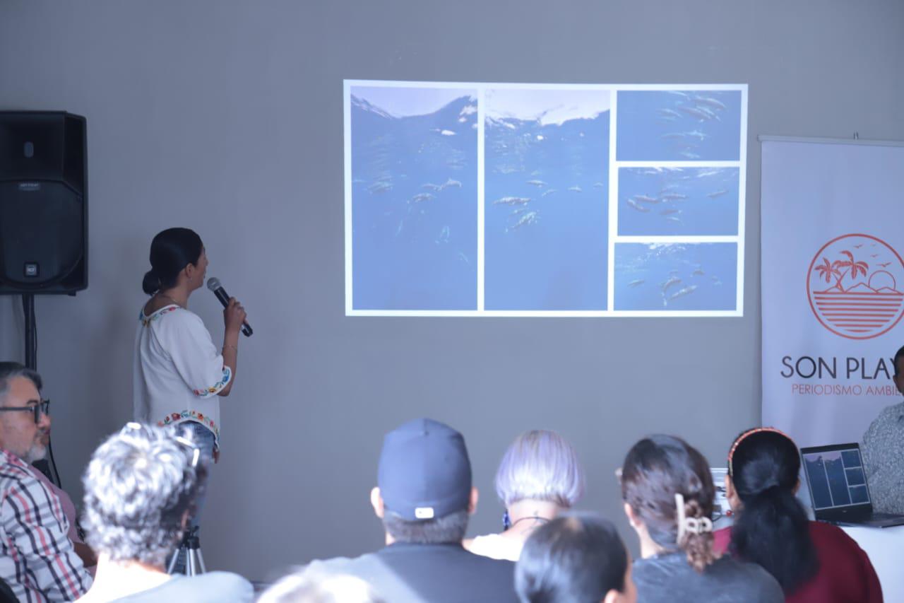 $!Especialistas comparten la riqueza del mar de Mazatlán en conferencia sobre la vida oceánica