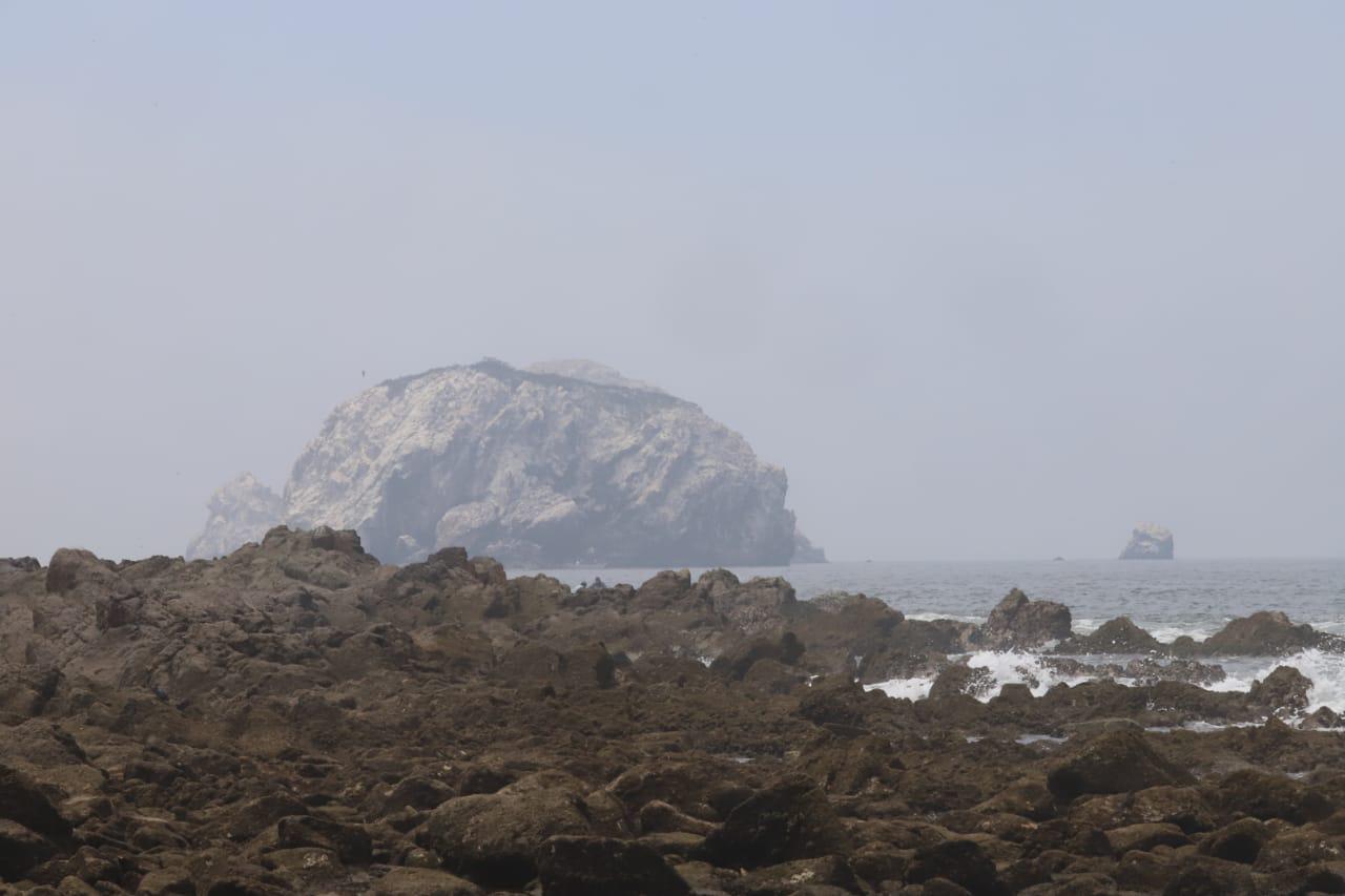 $!Mazatlán amanece frío y con neblina