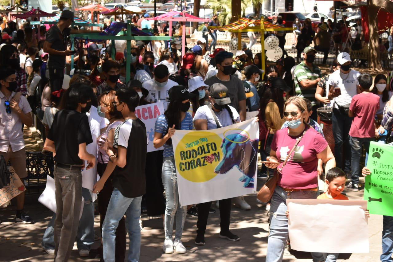 $!Despierta una macroprotesta el asesinato del perrito ‘Rodolfo’