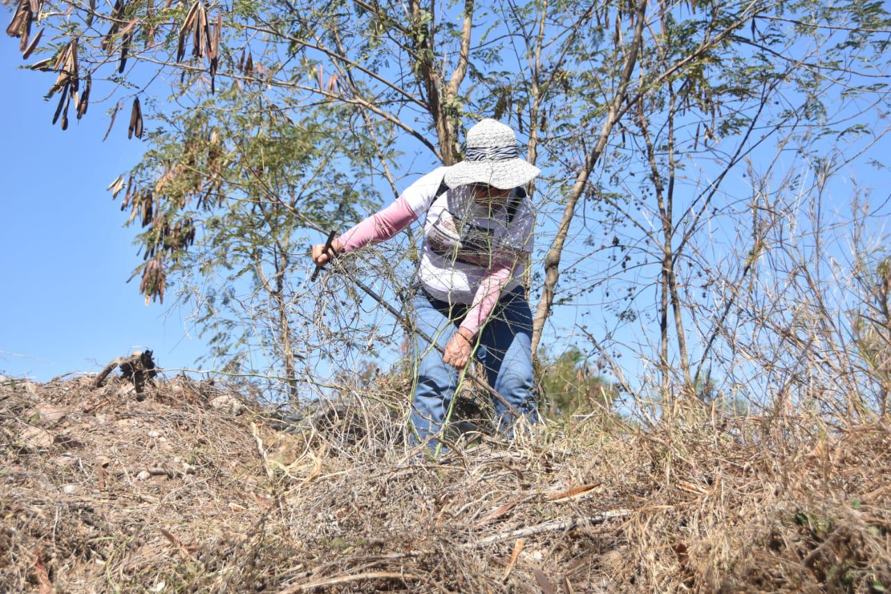 $!Se unen para visibilizar crisis de desaparecidos con jornada de búsqueda humanitaria en Culiacán