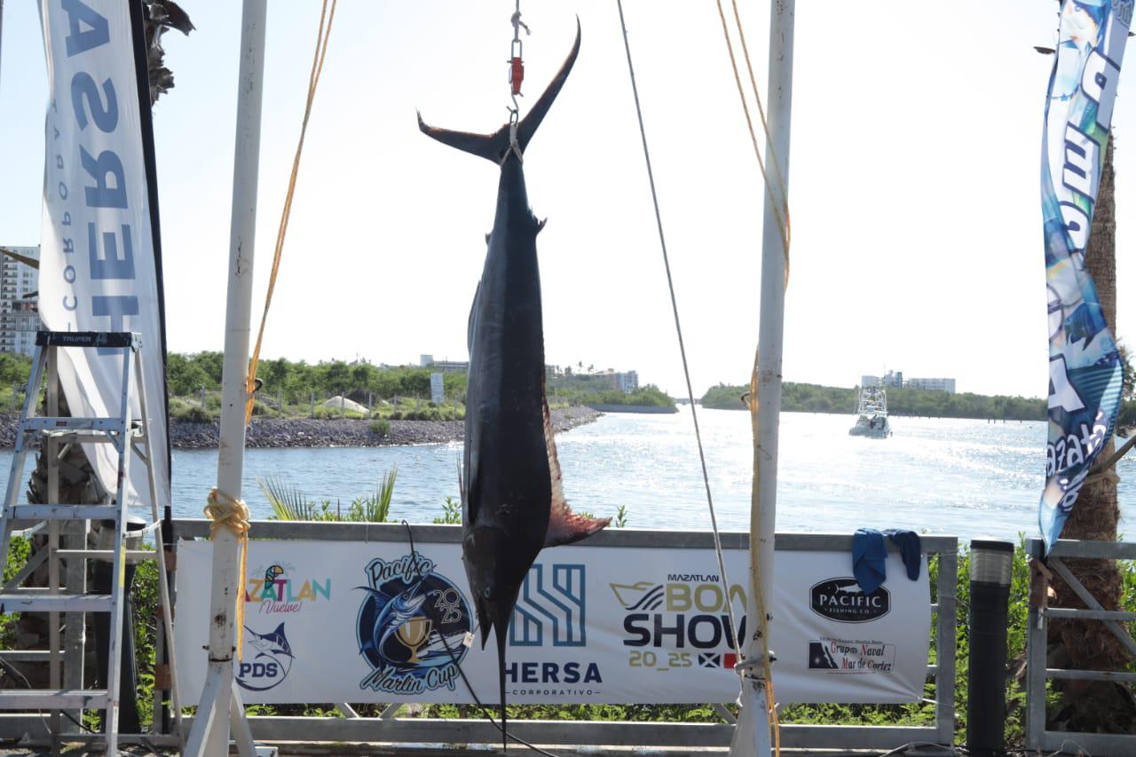 $!Pochonga es el gran ganador del Pacific Marlin Cup