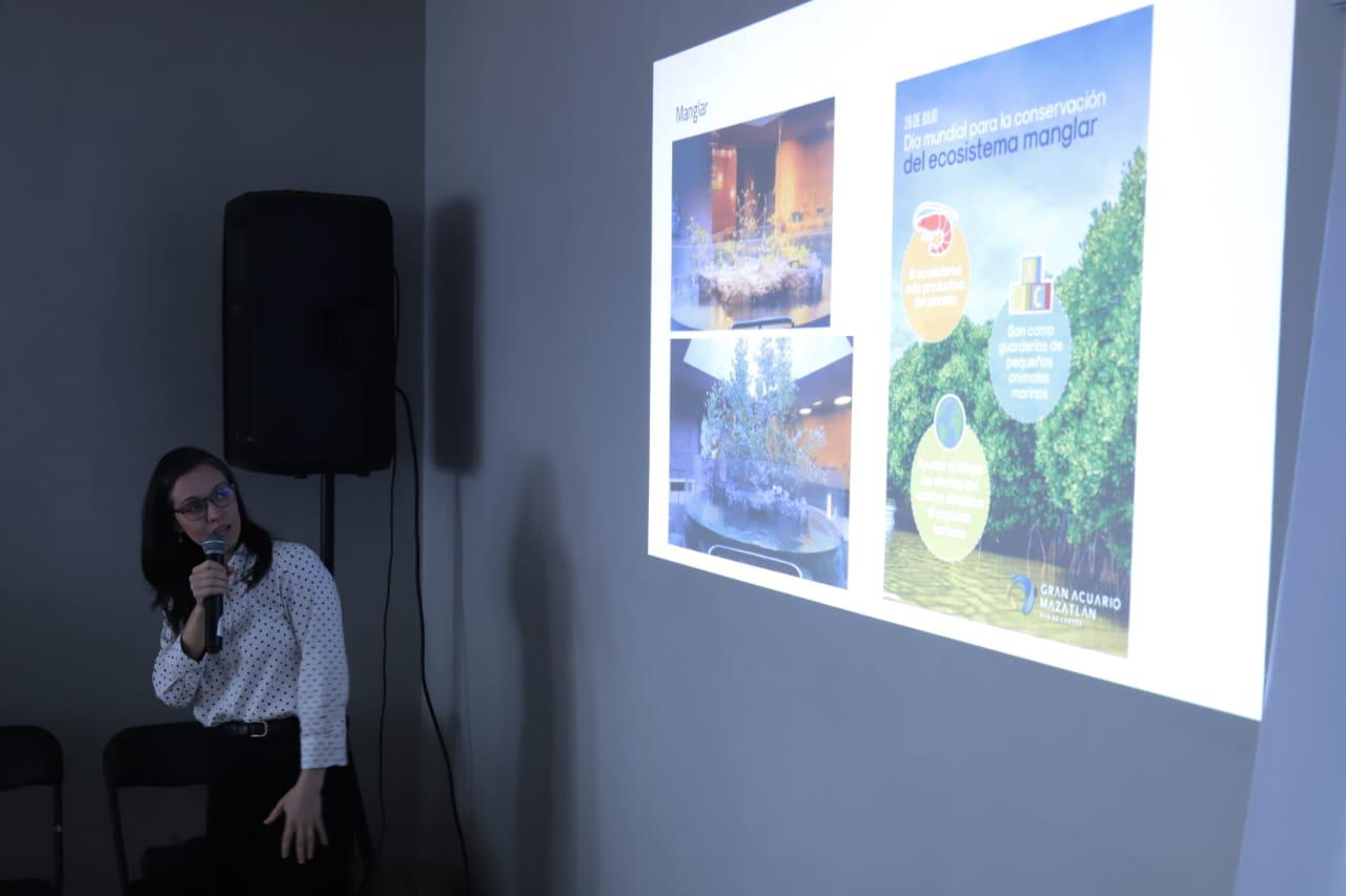 $!Especialistas comparten la riqueza del mar de Mazatlán en conferencia sobre la vida oceánica