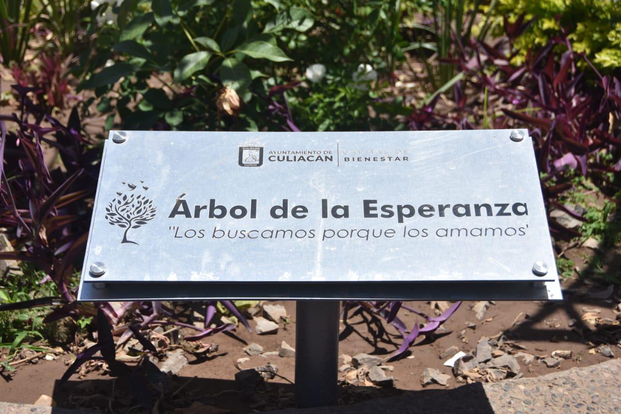 $!Finalizan la segunda etapa de la Jornada Nacional de Búsqueda Humanitaria en el Árbol de la Esperanza