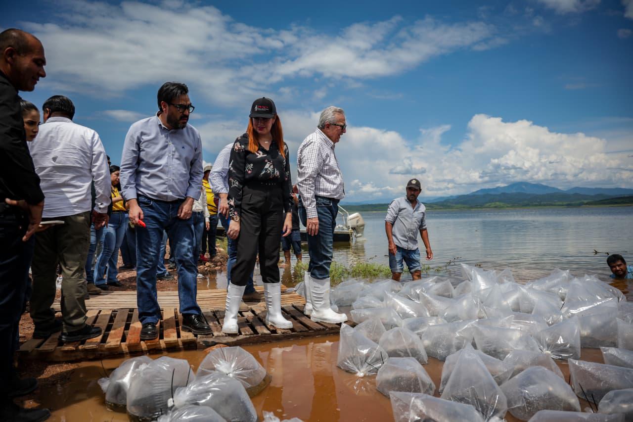 $!Llevan programa de repoblamiento de alevines a Presa Sanalona, en Culiacán