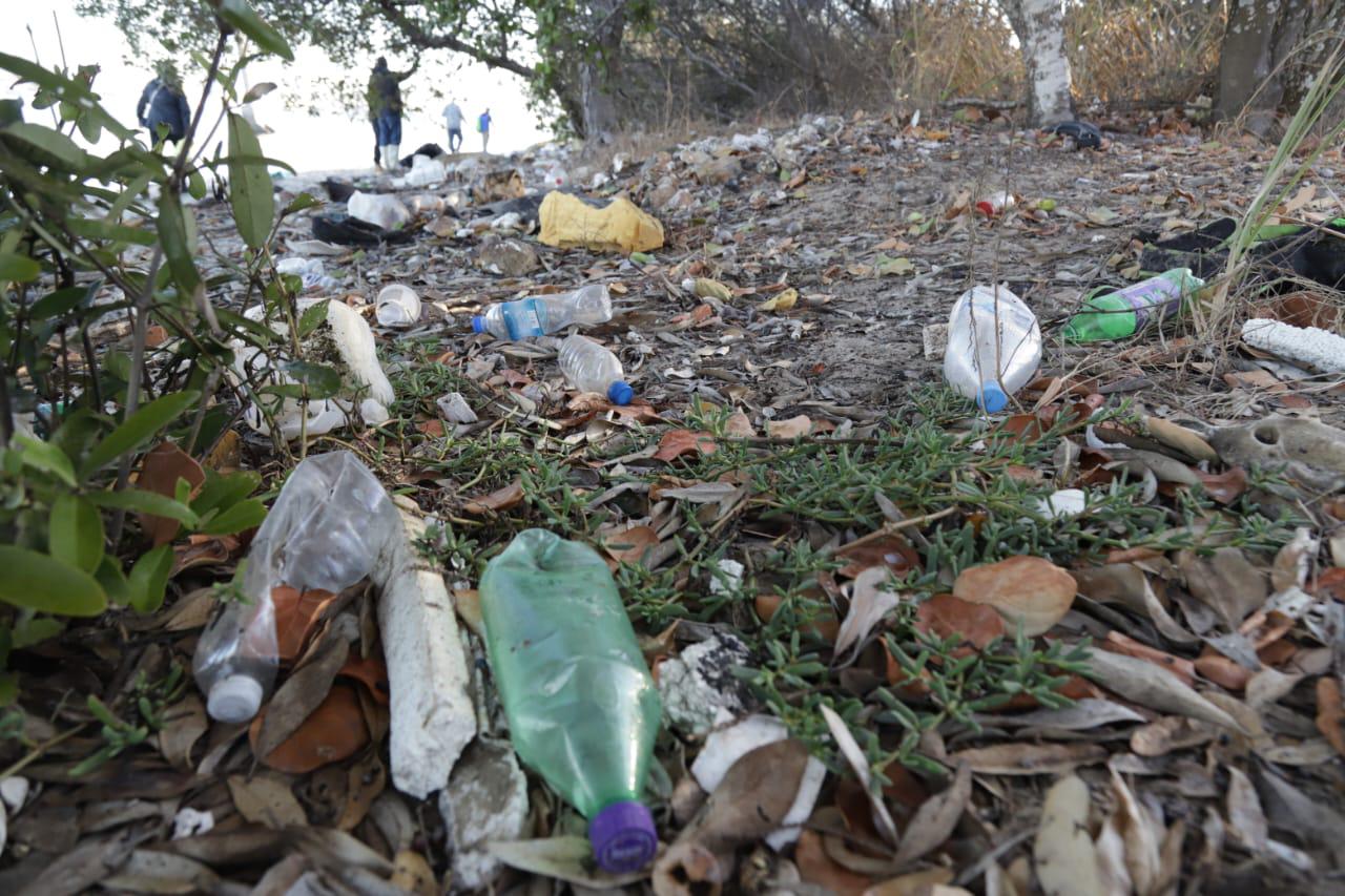 $!Realiza Colectivo MazConCiencia limpieza masiva en el manglar de la Isla de la Piedra