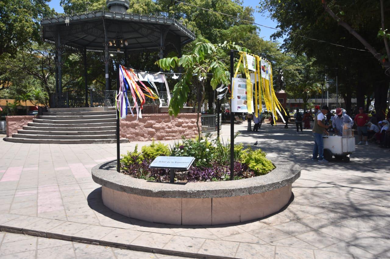 $!Finalizan la segunda etapa de la Jornada Nacional de Búsqueda Humanitaria en el Árbol de la Esperanza