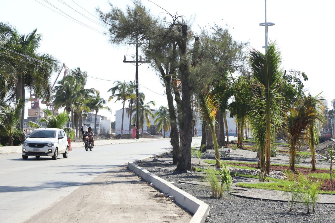 $!Embellecen camellón central y colocan lámparas led en Avenida Gabriel Leyva, en Mazatlán