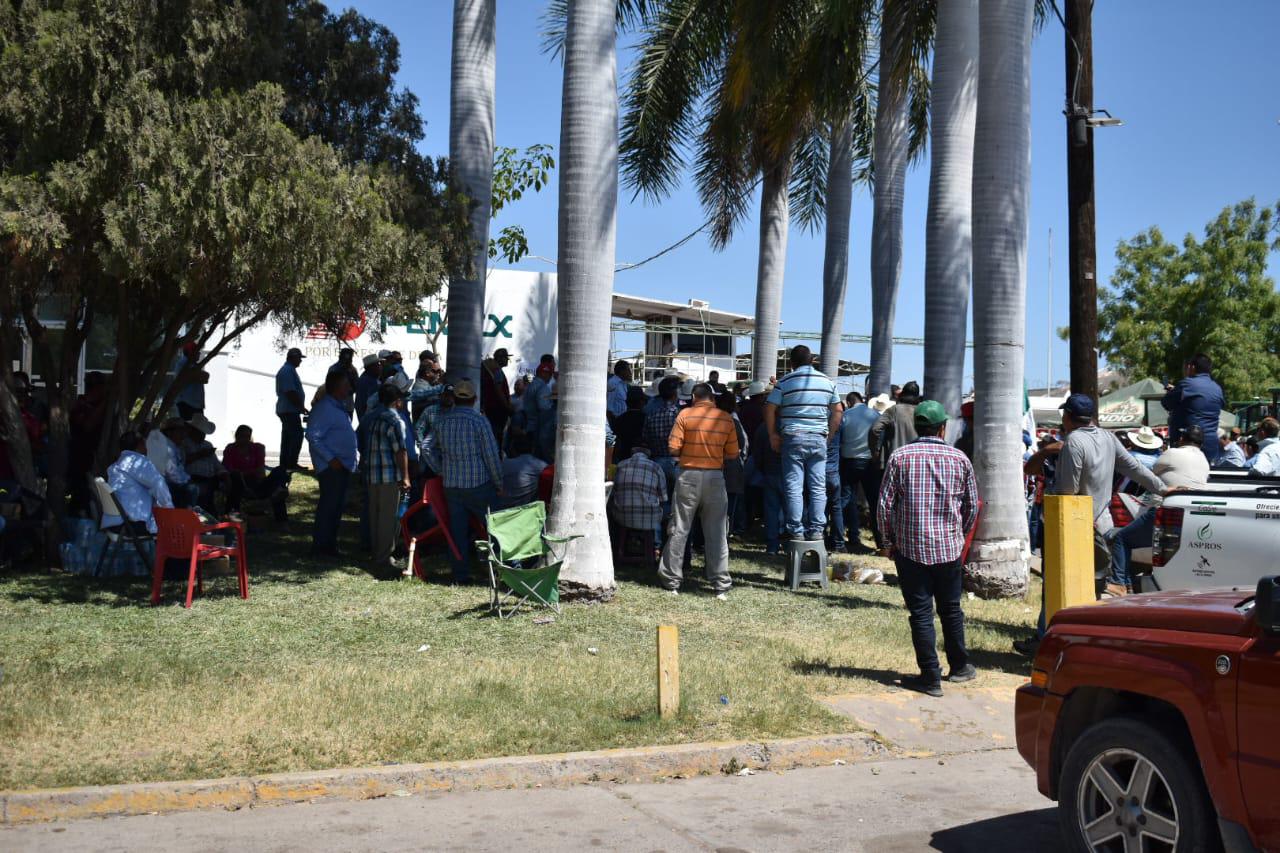 $!Deliberan productores entre Aeropuerto de Culiacán o Pemex en Mazatlán