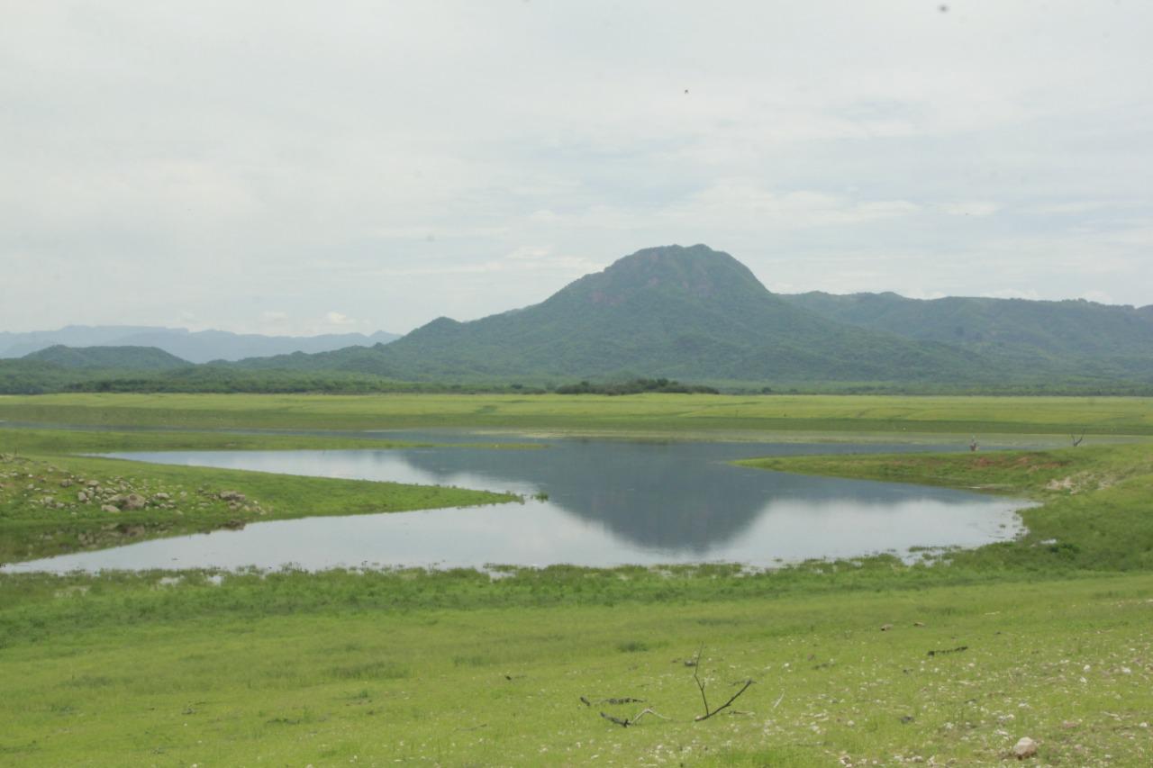 $!‘Narnia’ ya es ofrecido en viajes por Sinaloa; se interesan visitantes de cinco municipios