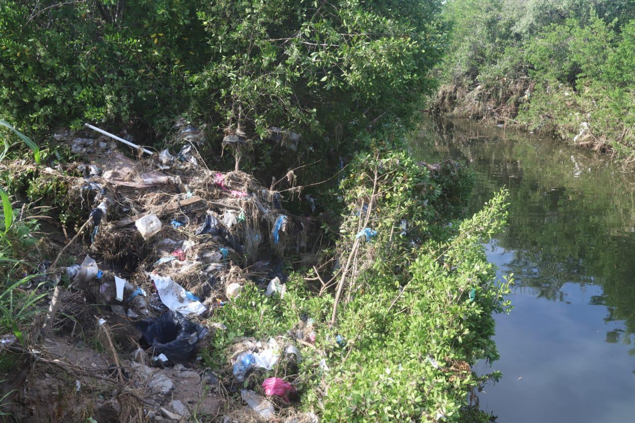 $!Mazatlán pierde manglares por rellenos, invasiones y crecimiento insostenible: ambientalista