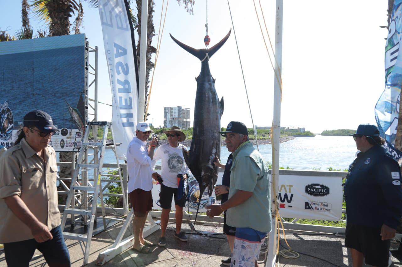 $!Pochonga es el gran ganador del Pacific Marlin Cup