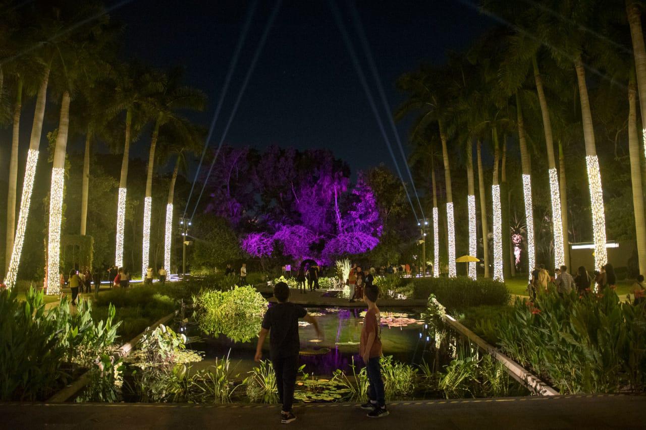 $!Acuden más de 10 mil personas a Un Jardín de Luz en el Jardín Botánico en su primera semana de apertura