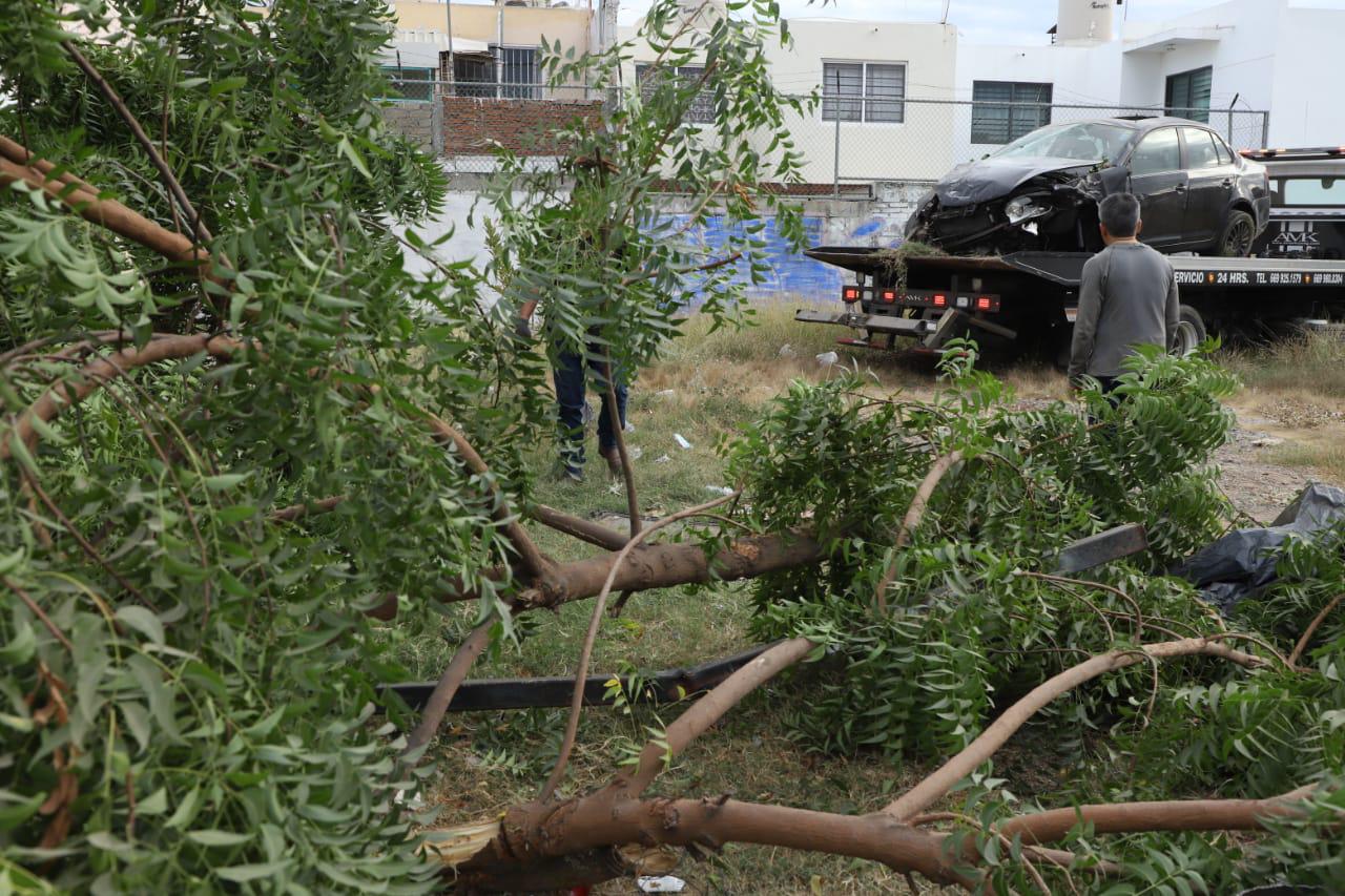 $!Foto: Noroeste/Juvencio Villanueva