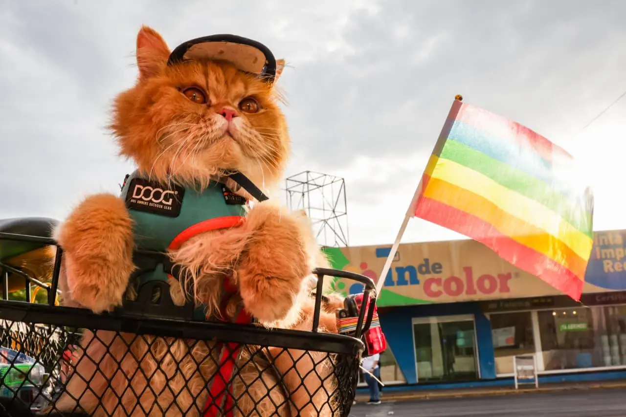 $!Marchan en el Pride Culiacán 2026 por la diversidad y la defensa de los derechos LGBT+