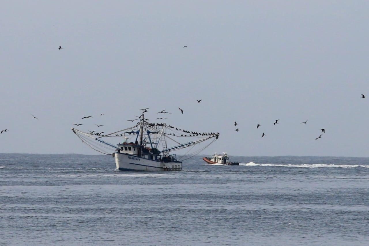 $!Barcos camaroneros se resguardan en el puerto de Mazatlán por ‘Priscilla’