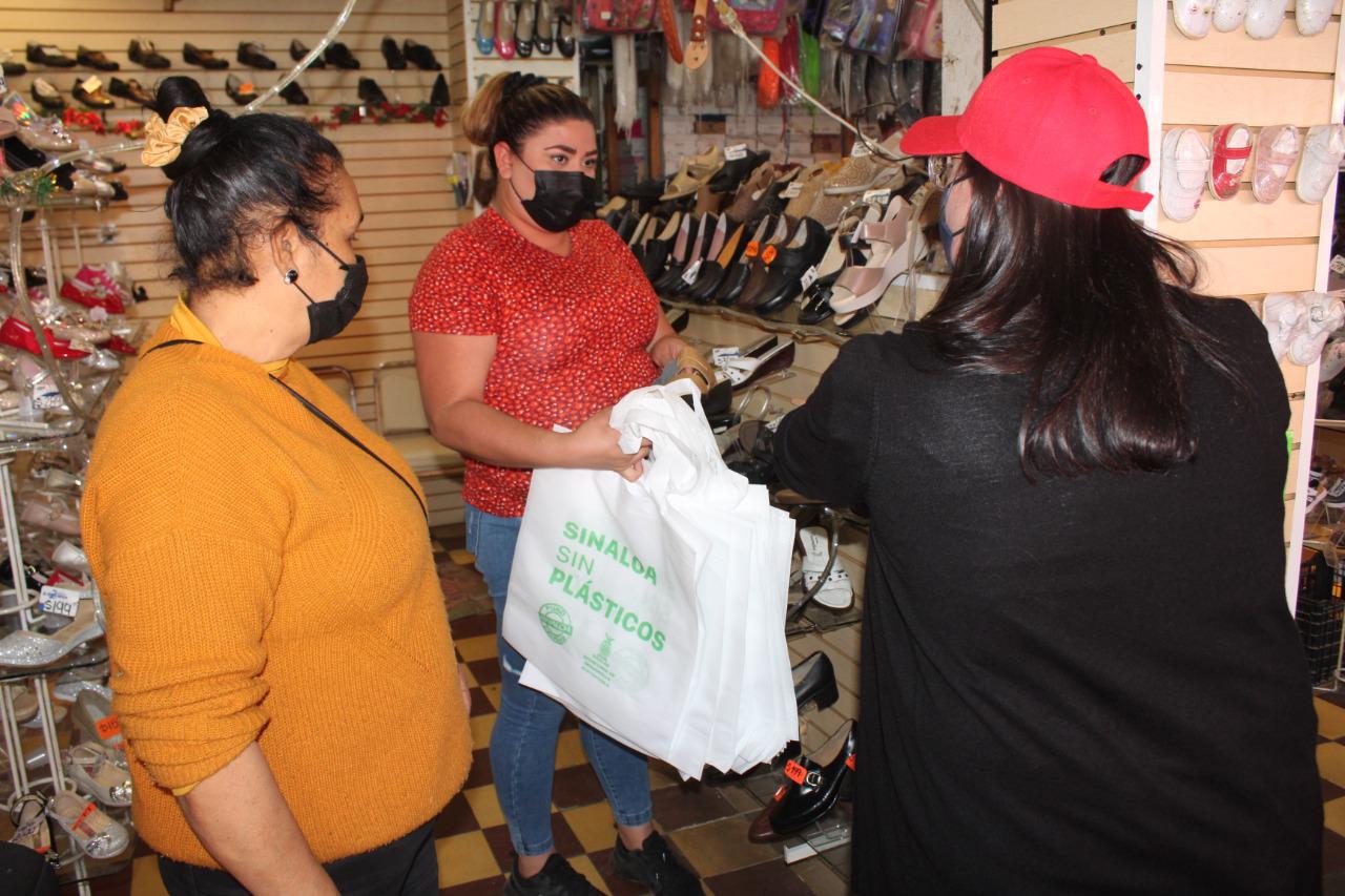 $!Sedesu llama a municipios de Sinaloa a actualizar reglamentos ambientales