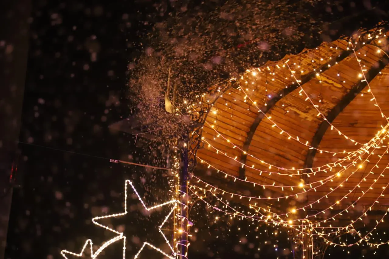 $!Llega la magia de la Navidad a Mazatlán con el encendido del pino y la iluminación en la Plazuela Machado
