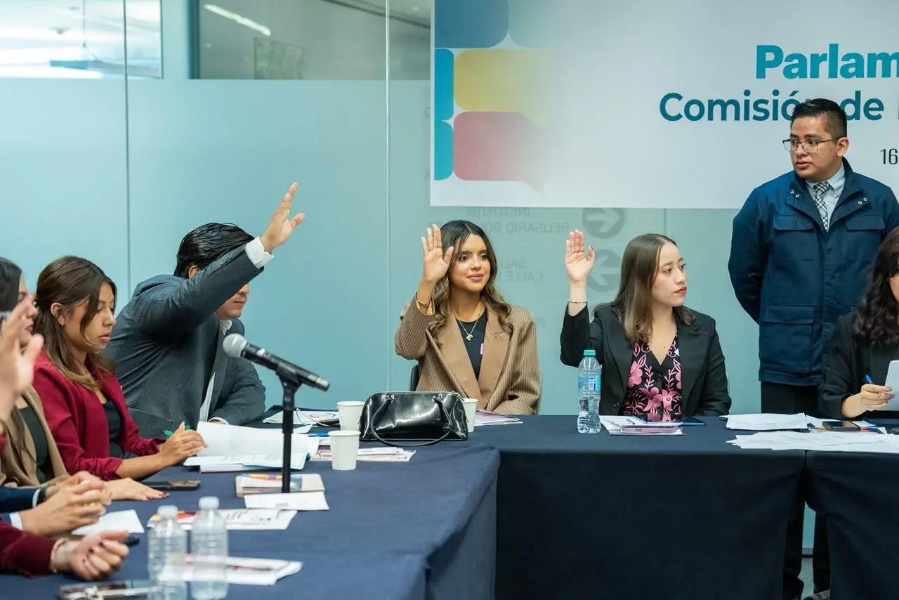 $!Joven de Mazatlán lleva al Senado propuestas sobre inclusión laboral