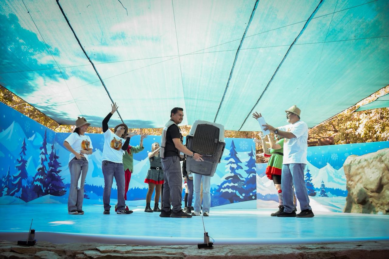 $!Se incorporan dos capibaras al Zoológico de Culiacán