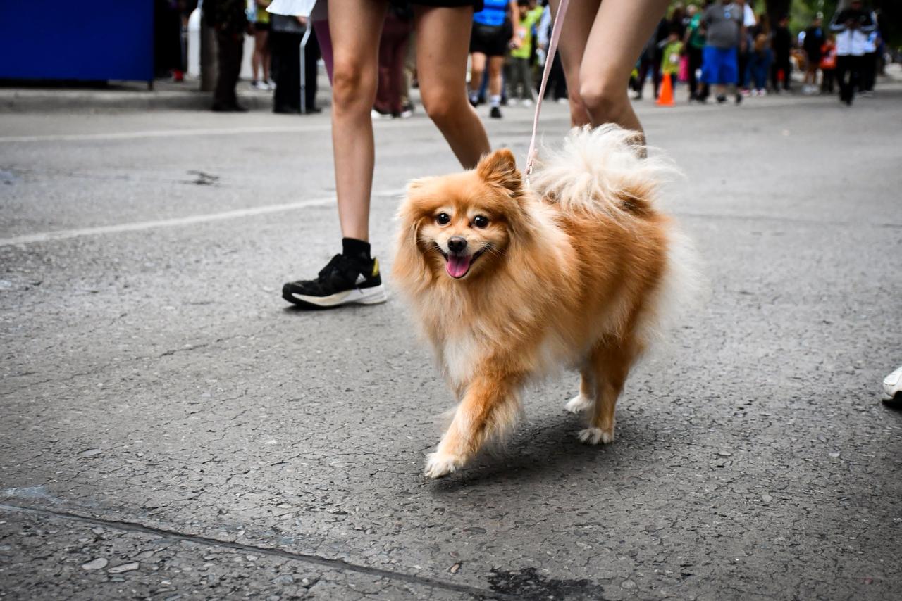 $!Culiacán impulsa la educación con la carrera ‘Corro por sus Sueños’ de ProEduca